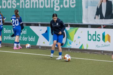 Bild 75 - wBJ Hamburger SV - FC Suederelbe : Ergebnis: 9:0